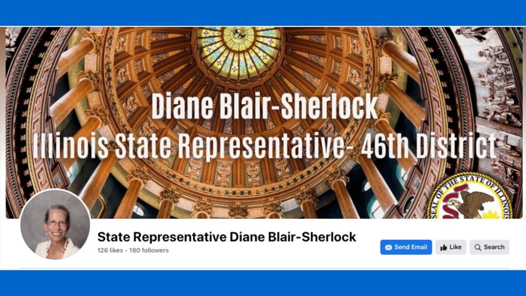 Image of Diane Blair-Serlock's facebook profile
