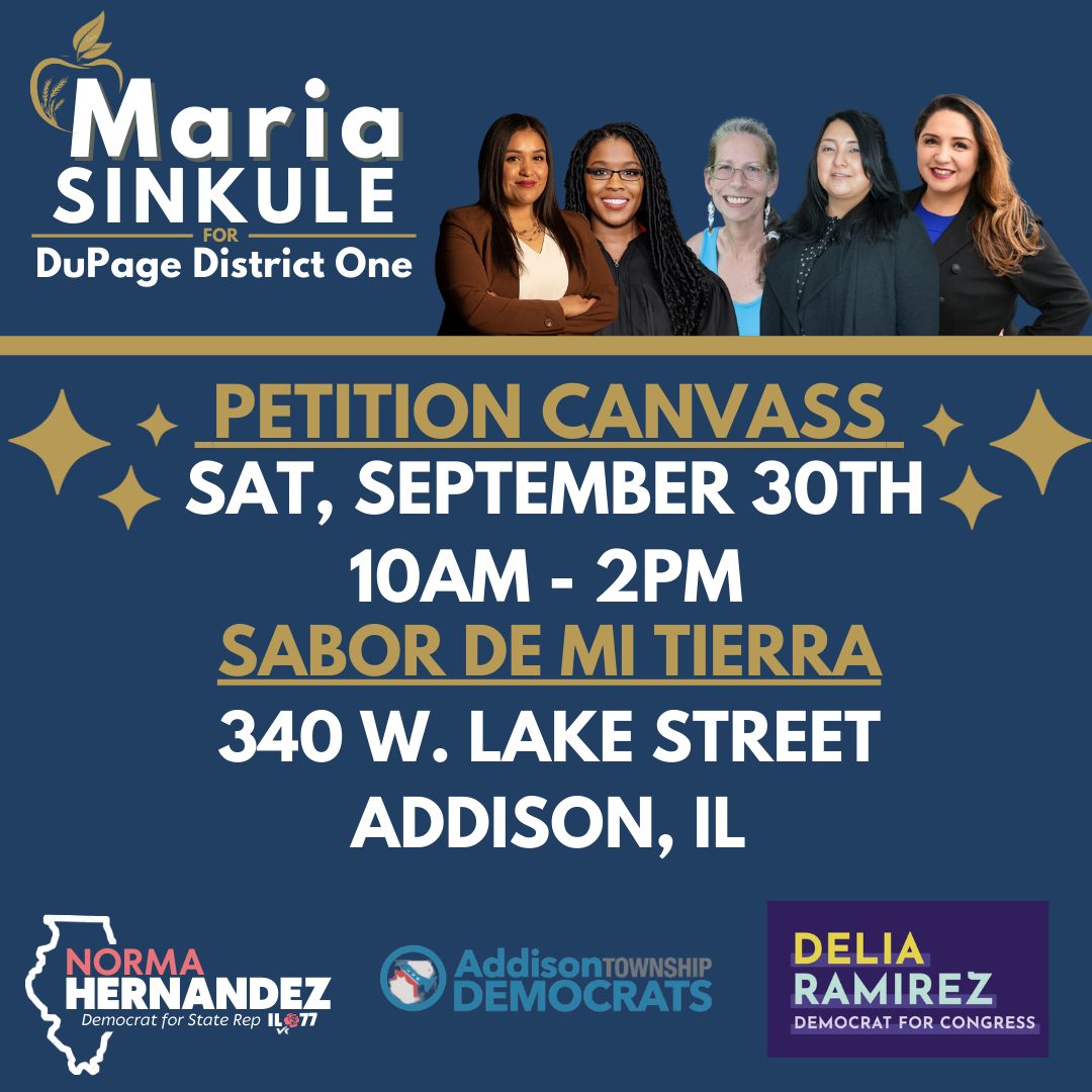 featured image for petition canvass for County Board District 1